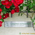 Marksburg garden